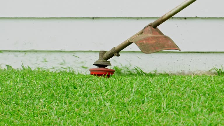 Reliable Dalworthington Gardens, TX Tree Services Solutions